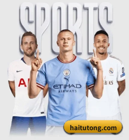 每个板块围绕一个运动项目展开 | STARSPORTS