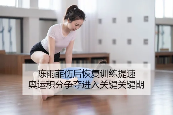 陈雨菲伤后恢复训练提速 奥运积分争夺进入关键关键期